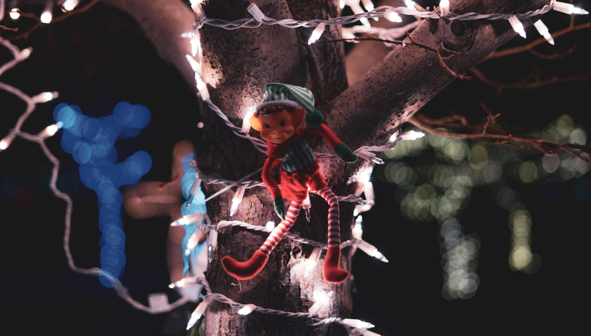 Elf on the tree at 5th annual Holiday Light Festival